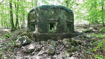 Ligne Maginot - FM29 - NONNENHARDT EST 6 - (Blockhaus pour arme infanterie) - Créneaux frontaux