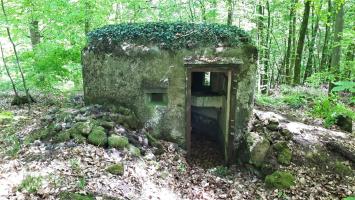 Ligne Maginot - FM29 - NONNENHARDT EST 6 - (Blockhaus pour arme infanterie) - L'entrée défendu par un créneau arrière