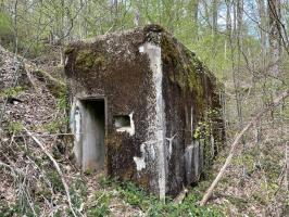 Ligne Maginot - HERRENWALD - ( III - 153° RIF ) - (PC de Quartier) - Le PC se fond dans la végétation durant la belle saison