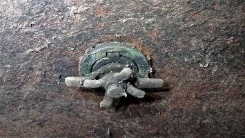 Ligne Maginot - HOFFEN - (Abri) - Orifice périscopique avec son obturateur