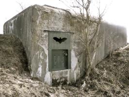 Ligne Maginot - B40 - BASSE PLAINE 11 - (Blockhaus pour arme infanterie) - 