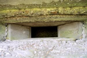 Ligne Maginot - B50 - MOULIN DU RHIN 3 - (Blockhaus pour arme infanterie) - 
