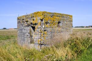 Ligne Maginot - B55 - Les GRANDES MOERES (Blockhaus pour arme infanterie) - 