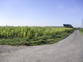 Ligne Maginot - B57 - TROIS ROIS Sud (Blockhaus pour arme infanterie) - Situé dans cet environnement, le blockhaus B57 Trois Rois Sud a été détruit