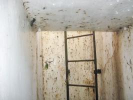 Ligne Maginot - BV1 (Chambre de coupure) - Le couloir d'accès