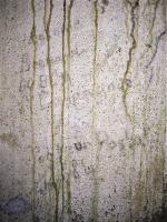 Ligne Maginot - HARDT 1 - (Blockhaus pour arme infanterie) - Graffiti