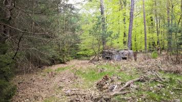 Ligne Maginot - HARDT 2 - (Blockhaus pour arme infanterie) - Le blockhaus bordant un ancien layon