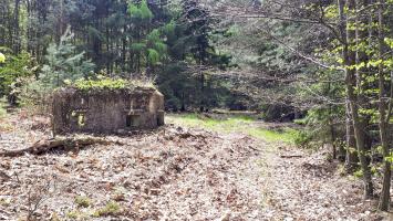 Ligne Maginot - HARDT 2 - (Blockhaus pour arme infanterie) - Vue coté droit