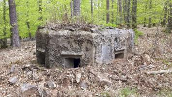 Ligne Maginot - HARDT 2 - (Blockhaus pour arme infanterie) - Vue coté gauche