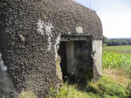 Ligne Maginot - B169 - MONT KOKEREEL - (Blockhaus pour canon) - 