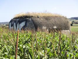 Ligne Maginot - B169 - MONT KOKEREEL - (Blockhaus pour canon) - 
