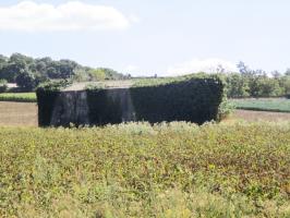 Ligne Maginot - B172 - PURGATOIRE - (Blockhaus pour canon) - 