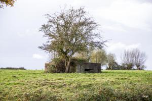 Ligne Maginot - B196 - COIN du MOULIN (Blockhaus pour arme infanterie) - 