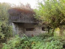 Ligne Maginot - B219 - LES COURTS-PAYEUX - (Blockhaus pour canon) - 