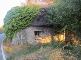 Ligne Maginot - B219 - LES COURTS-PAYEUX - (Blockhaus pour canon) - 