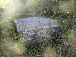 Ligne Maginot - B114 - STEENVOORDE Sud - (Blockhaus pour arme infanterie) - Vue prise du Chemin de Bailleul