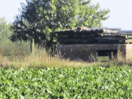 Ligne Maginot - B116 - STEENVOORDE Sud-Est (Blockhaus pour arme infanterie) - 