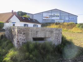 Ligne Maginot - B122 - QUEUE de VACHE (Blockhaus pour arme infanterie) - Vue prise de la D18 - Route de Godewaersvelde.
