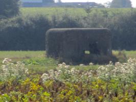 Ligne Maginot - B204 - RAVENSBERG (Blockhaus pour canon) - 