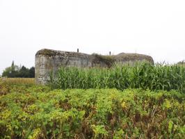 Ligne Maginot - CEZF-H - RYVELD EST - (Casemate d'infanterie) - Vue prise du côté de Winnezeele