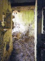 Ligne Maginot - CEZF-H - RYVELD EST - (Casemate d'infanterie) - 