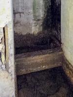 Ligne Maginot - CEZF-H - RYVELD EST - (Casemate d'infanterie) - 