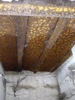 Ligne Maginot - CEZF-H - RYVELD EST - (Casemate d'infanterie) - 