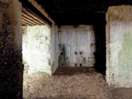 Ligne Maginot - CEZF-H - RYVELD EST - (Casemate d'infanterie) - 