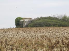 Ligne Maginot - B254 - LES MEURINS - (Blockhaus pour canon) - 