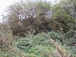 Ligne Maginot - B285 - BEAULIEU SUD - (Blockhaus pour canon) - Etat 2016