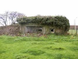 Ligne Maginot - B286 - GRIMONPONT NORD - (Blockhaus pour canon) - 