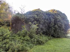 Ligne Maginot - B308 - PONT à TRESSIN NORD - (Blockhaus pour canon) - 