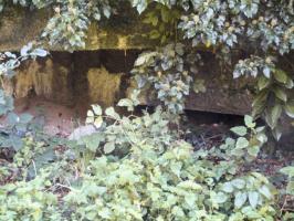 Ligne Maginot - B308 - PONT à TRESSIN NORD - (Blockhaus pour canon) - 