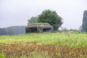 Ligne Maginot - B339 - CENSE DE COBRIEUX - (Blockhaus pour canon) - 