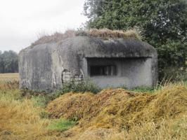 Ligne Maginot - B339 - CENSE DE COBRIEUX - (Blockhaus pour canon) - 