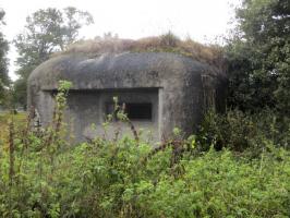 Ligne Maginot - B339 - CENSE DE COBRIEUX - (Blockhaus pour canon) - 