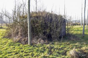 Ligne Maginot - B343 - BOIS de BERCU Nord (Blockhaus pour canon) - 
