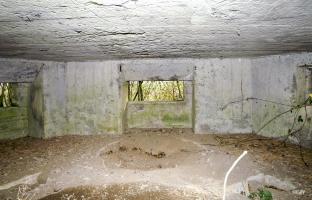 Ligne Maginot - B343 - BOIS de BERCU Nord (Blockhaus pour canon) - 