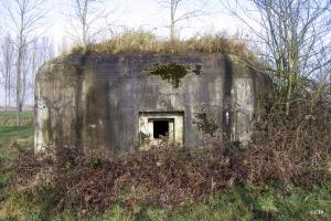 Ligne Maginot - B343 - BOIS de BERCU Nord (Blockhaus pour canon) - 