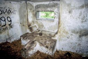 Ligne Maginot - B356 - PONT DU CHATEAU - (Blockhaus pour canon) - 