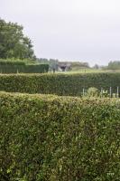 Ligne Maginot - B360 - CUL du FOUR Ouest (Blockhaus pour canon) - 