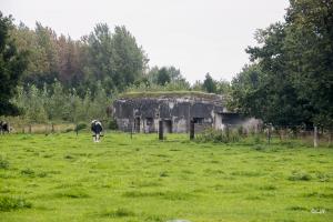 Ligne Maginot - B360 - CUL du FOUR Ouest (Blockhaus pour canon) - 