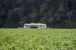 Ligne Maginot - B366BIS - LE ROTELEUX - (Blockhaus pour arme infanterie) - 
