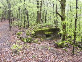 Ligne Maginot - M9 - TRAUTBACH 1 - (Blockhaus pour arme infanterie) - Le créneau pour mitrailleuse