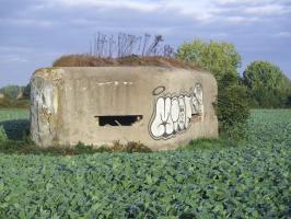 Ligne Maginot - B264 - Le BILEMONT (Blockhaus pour canon) - 