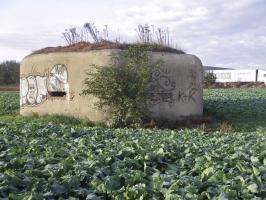 Ligne Maginot - B264 - Le BILEMONT (Blockhaus pour canon) - 
