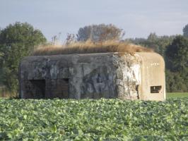 Ligne Maginot - B264 - Le BILEMONT (Blockhaus pour canon) - 