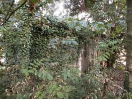 Ligne Maginot - B263 - Le VERTUQUET (Blockhaus pour canon) - 