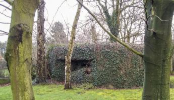 Ligne Maginot - B277bis - FLEURY Sud (Blockhaus pour canon) - 