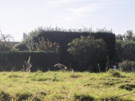 Ligne Maginot - B292 - VERT-BOIS (Blockhaus pour canon) - Vu de la rue du château d'eau.